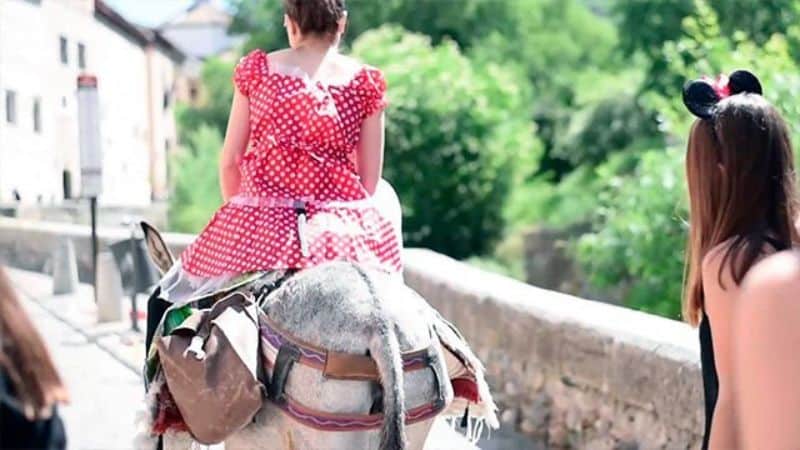 paseos únicos en burro en el sacromonte